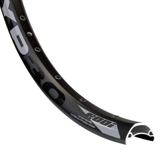 Aro 29 32h Rodi TRYP 30EVO IOS (Ancho 30mm) Tubeless Blackjack