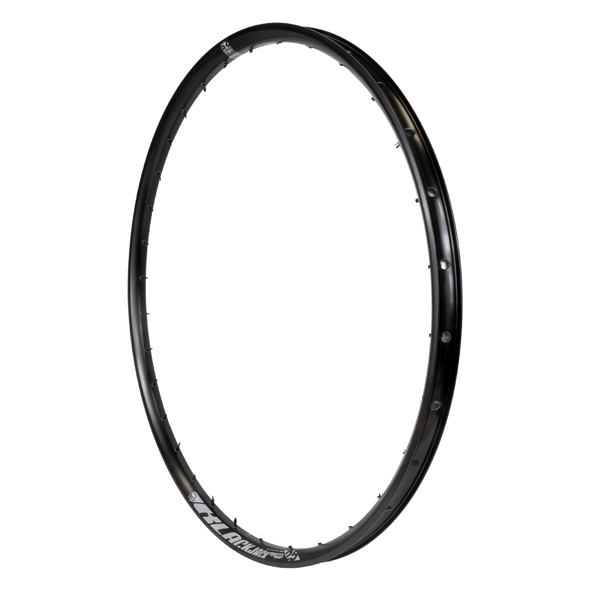Aro 29 28h MTB Ready25 ASY EVO Tubeless Blackjack