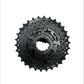 Pacha 8v 11-30T CS-HG31-8 Shimano