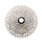 Pacha 10v 11-42T CSMS2 TAY Plateada Sunrace