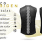 Aborigen Basic Talla M (Negro) Pachamabici