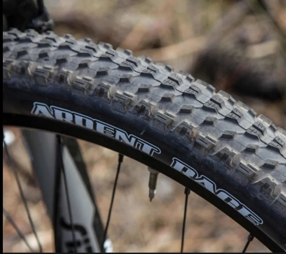 Ruedas maxxis best sale ardent race